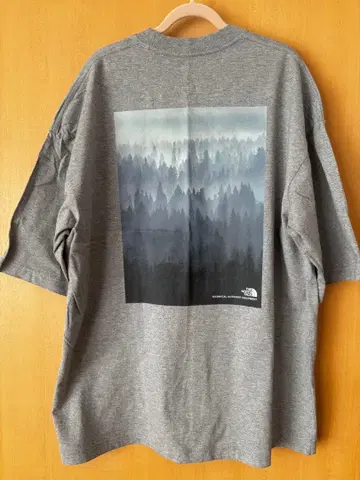 THE NORTH FACE 숲 풍경 프린트 티셔츠 그레이