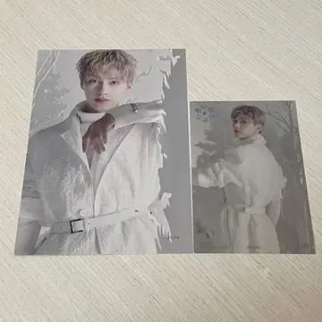 SEVENTEEN 준 아이노치카라 플라이어 엽서 세트