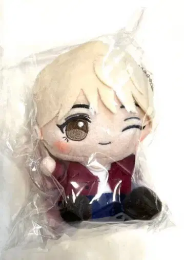 SEVENTEEN 세부치 돈키 산리오 봉제 인형 키링 정한