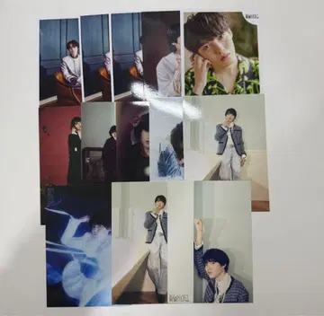 겐지부 코이즈미 히카루 사쿠 생사진 31장 세트