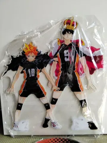 하이큐!! 히나타 쇼요 카게야마 토비오 아크릴 스탠드