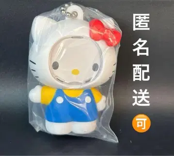 [ 새상품 ] 산리오 사진 프레임 마스코트 키티