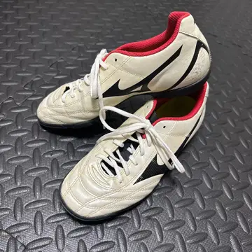 24.5cm 미즈노 트레이닝 슈즈/축구화/풋살화