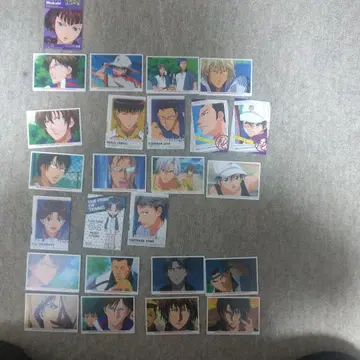 테니스의 왕자님/트레이딩 카드/25장 세트/레어 카드 있음/청학/빙제