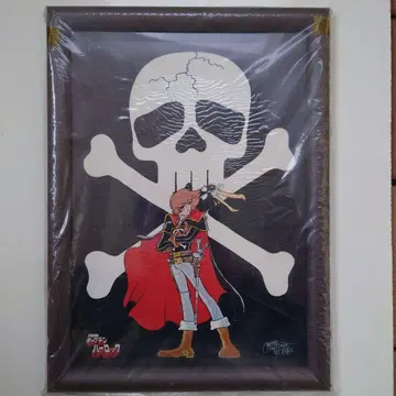 하록 해적 아트 프레임 포함