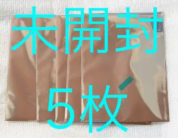 NU:카니발 Bliss GIGO 혜택 클리어 카드 미개봉 5장 세트