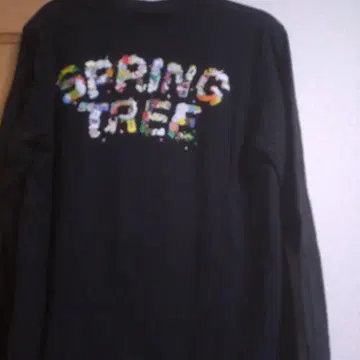 이에이리 레오 롱T