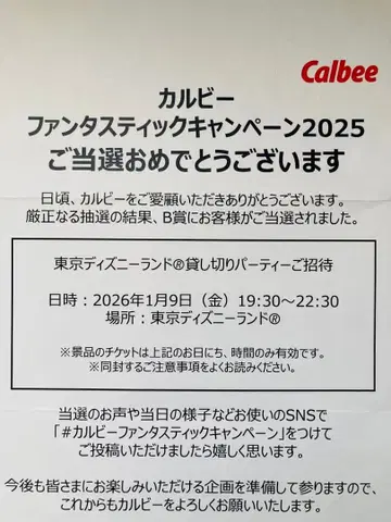 도쿄 디즈니랜드 대관 2인분