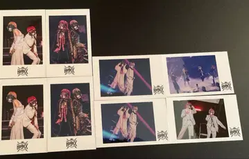 기사X 바우 씨 테루토 씨 시윤 씨 타케야키 쇼 씨 포토 카드 8장