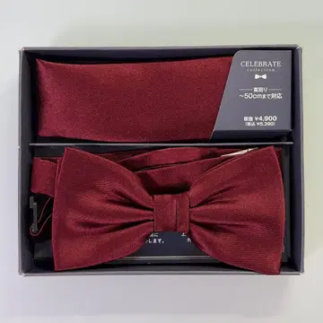 아오야마 양복 나비 넥타이 & 포켓 치프 [ 실크 ] 와인 레드