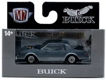 M2 1987 뷰익 리갈 리미티드