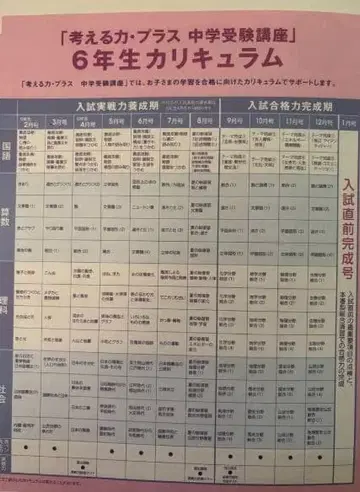 베네세 신켄 제미 생각하는 힘 플러스 중학교 수험 강좌 6학년 필기 없음