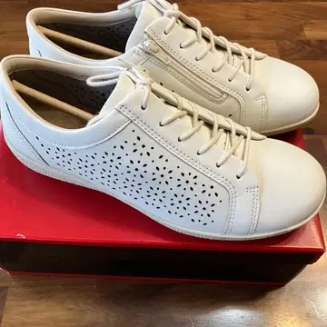 아킬레스 솔보 24.5 새상품