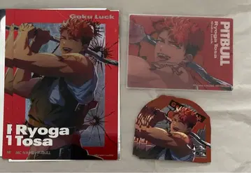 파라라이 6주년 토사 료가