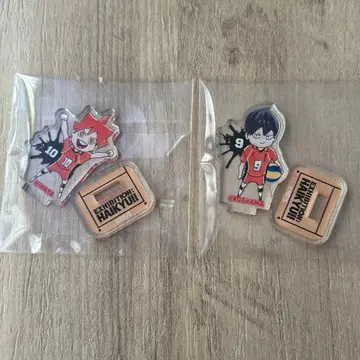 하이큐전 아크릴 mini 피규어 히나타 쇼요 카게야마 토비오