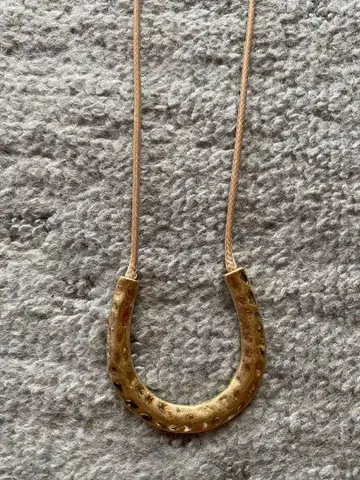 이시카와 라보 상품 말발굽 골드 후크 목걸이