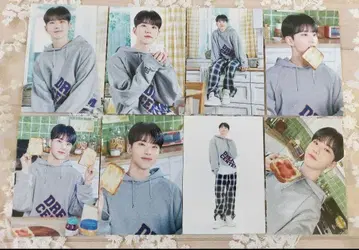 호시 home 트레이딩 카드 컴프 세트 SEVENTEEN 2023