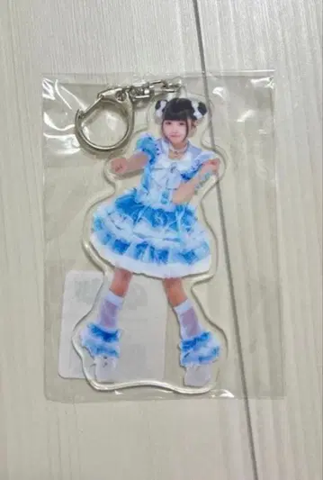 [ 최저가 ] iLiFE! 무지개 깃털 의상 아크릴 키링