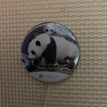 [ 후우힌 ] 작은 후우힌 팬더 캔뱃지 어드벤처 월드 뽑기 게임
