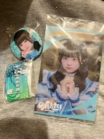 iLiFE! 니지하 미니 무도관 ONELIFE 온라인 복권 묶음 판매