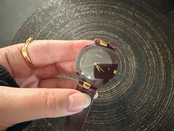 RADO의 멋진 손목시계