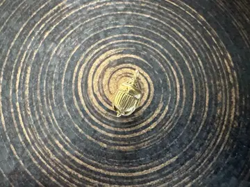 스카라베 펜던트 탑