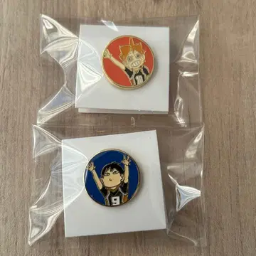 하이큐전 핀즈 히나타 쇼요 카게야마 토비오 카라스노