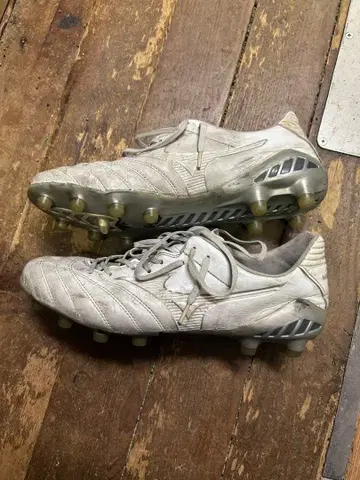 미즈노 모나르시다