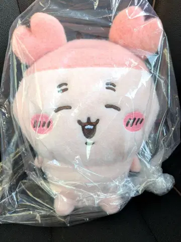 [ 치이카와 최신작 ] 시이프아 봉제 인형 헌책방 카니짱