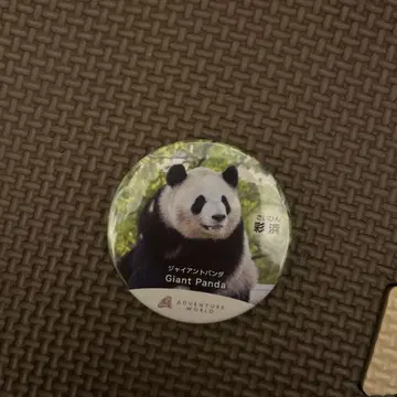 채빈 캔뱃지 어드벤처 월드 사이힌