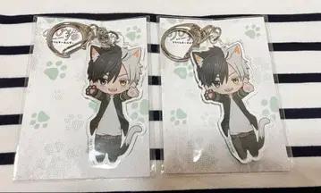 윈드브레이커 늘어나는 고양이