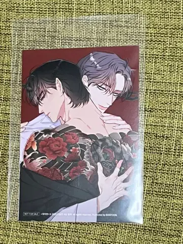 한국 BL BOMTOON HOMEPARTY 특전 사진