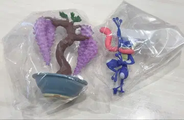 포켓 BONSAI 게코가