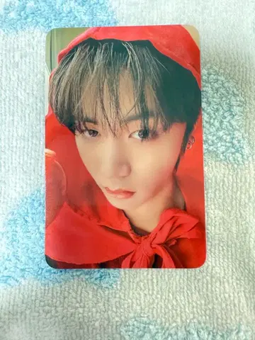 BOYNEXETDOOR 보넥도 테산 muvve 혜택 트레이딩 카드