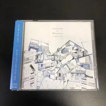 in the blue shirt Sensation of Blueness