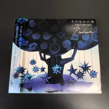 Predawn  손 안의 새 오비 포함 단종 CD