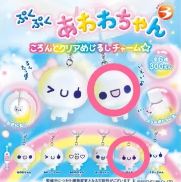 아와와짱 메지루시 참 세트