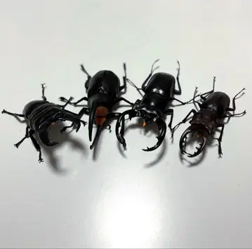 생물대도감 사슴벌레 투구벌레 4개 묶음 판매