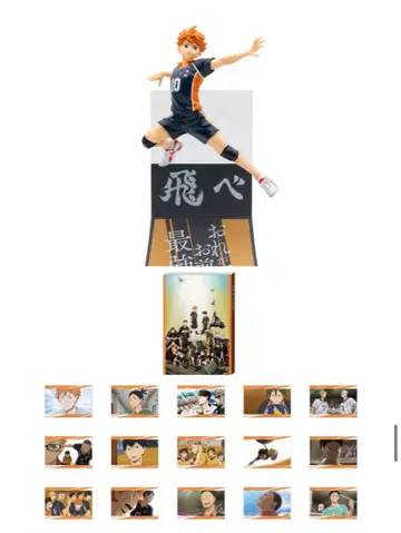 히나타 쇼요 피규어 & 엽서북