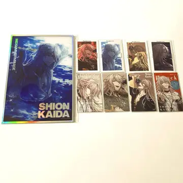 파라라이 카이다 시온 아크릴 색지 종이류