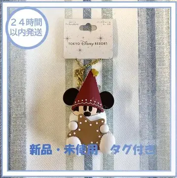 디즈니 크리스마스 2025 릴린린 백참 케이스 포함