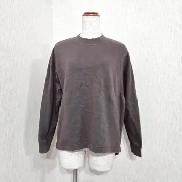 A DAY IN THE LIFE USA 코튼 맨투맨 쭈리 브라운 F