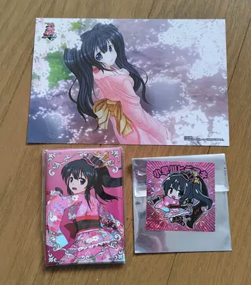 전국 오토메 코바야카와 히데아키 묶음 판매