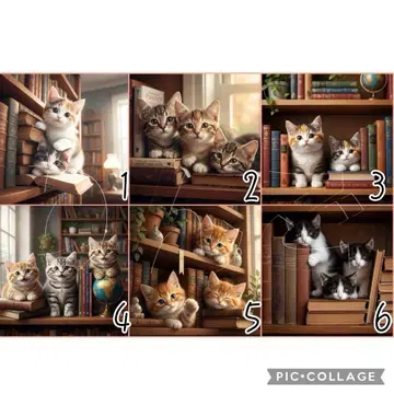 고양이 도서 패널 원단 핸드메이드