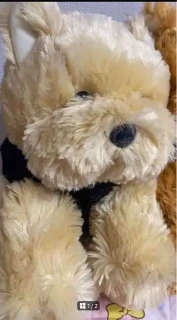 흐물흐물 요키 봉제 인형