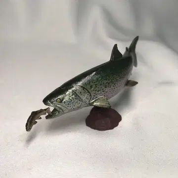 홋카이도 피규어 미야게 이토