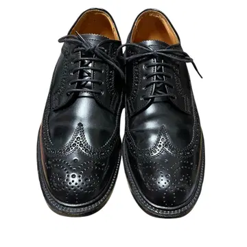 새상품급 REGAL 임페리얼 그레이드 코도반 2113 윙팁 24EE