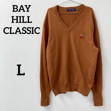 BAY HILL CLASSIC 울 V넥 스웨터 브라운