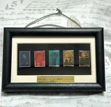 sophia 2002.11.1 핀 배지 프레임