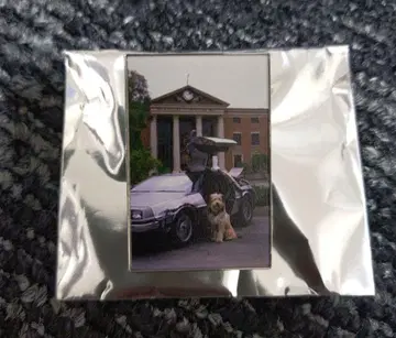 백투더퓨처 핀 배지 핀즈 돈키호테 한정판